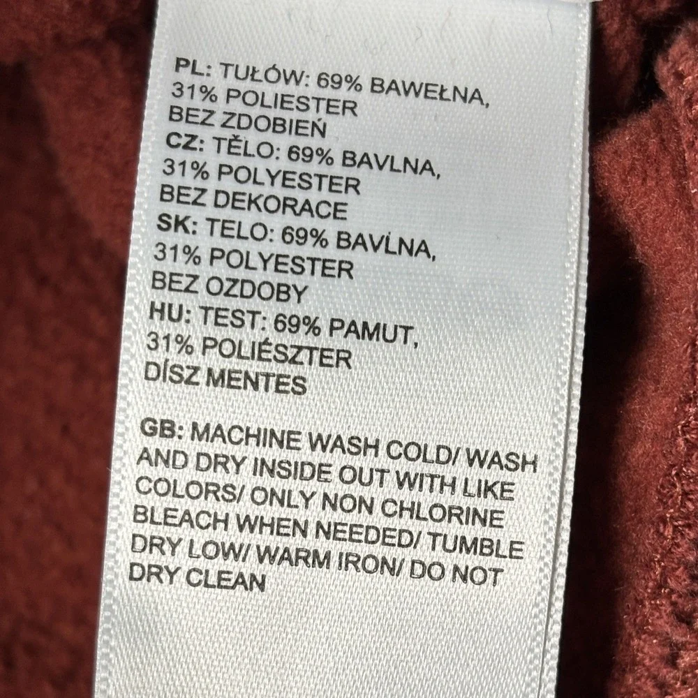 The North Face Bear Graphic Hoodie Mens M Rust Red Pullover Sweatshirt